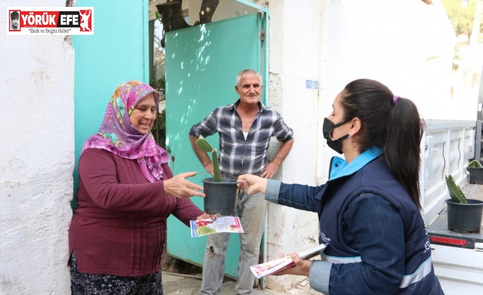 Aydın Büyükşehir Belediyesi vatandaşlara ’ejder meyvesi’ fidesi dağıttı