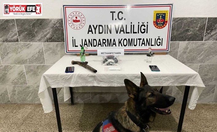 Aydın’da uyuşturucu operasyonu