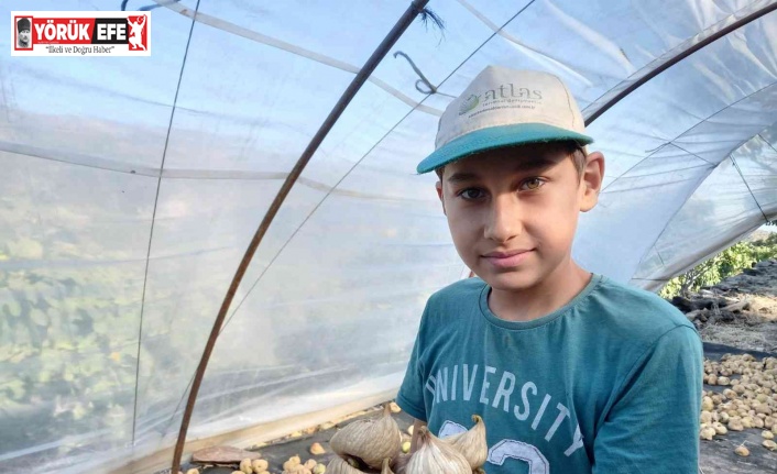 Dünya kuru incirin müptelası oluyor