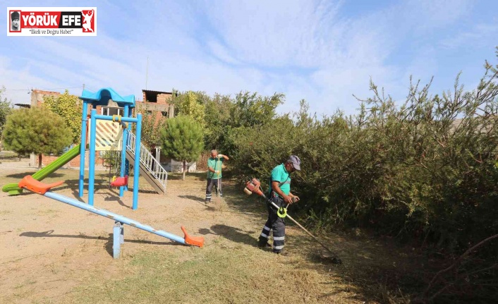 Efeler Belediyesi kent genelinde yeşil alan bakım çalışmalarını sürdürüyor