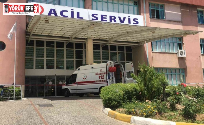 Eşeği ile birlikte yuvarlanan çiftçi ambulansla hastaneye kaldırıldı