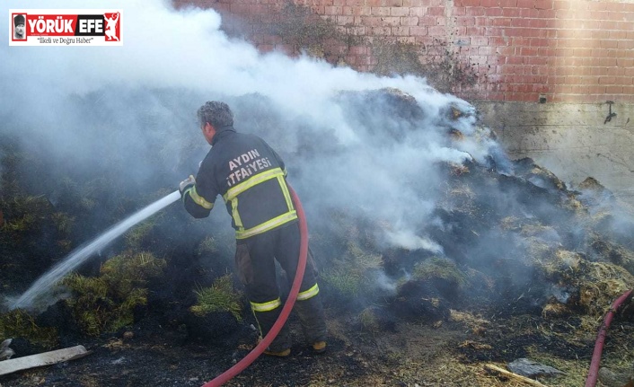 Germencik’te samanlık yangını