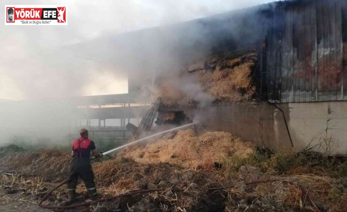 Söke’de hayvan damında çıkan yangın korkuttu