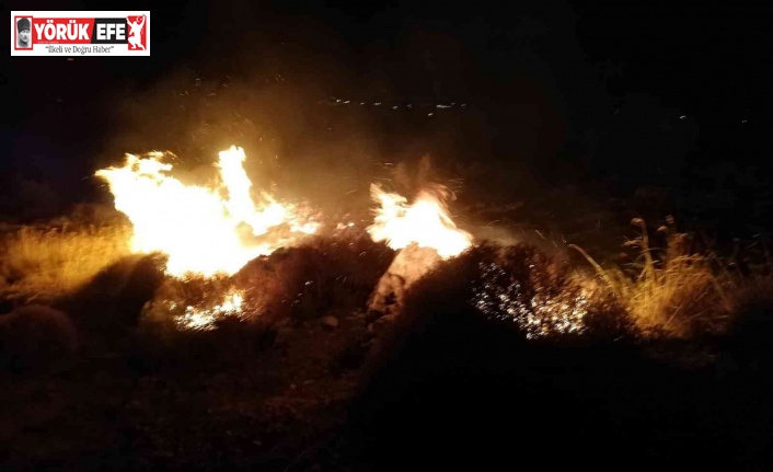 Söke’deki yangın büyümeden söndürüldü