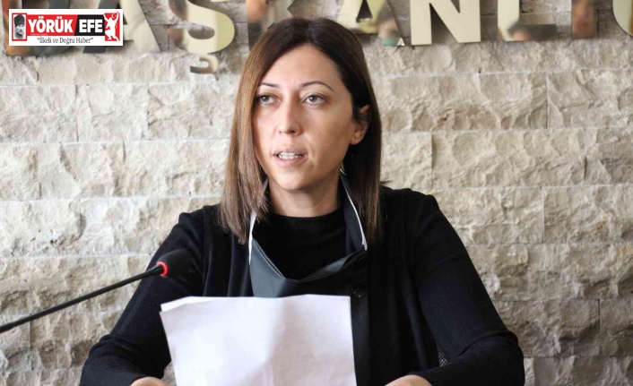 AK Parti Aydın İl Kadın Kolları Başkanı Göğde: "Kadına yönelik şiddet bir dünya sorunudur"