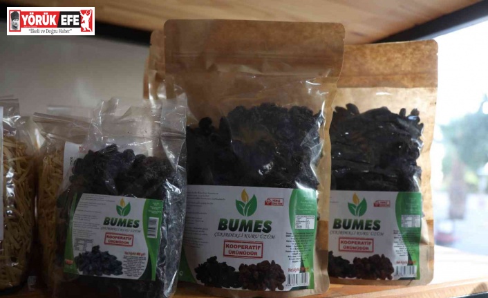 Aydın Büyükşehir Belediyesi’nden Buharkent üreticisine destek