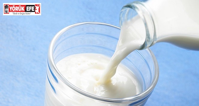 Aydın’da 13 bin 285 üreticiye çiğ süt destekleme ödemesi yapılacak