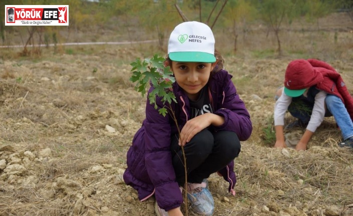 Aydın’da fidan dikim noktaları belli oldu