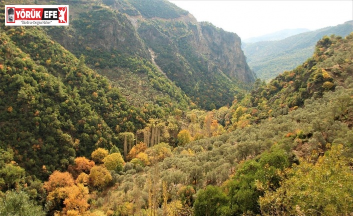 EKODOSD’ tan, Koçak Kanyonu için koruma çağrısı