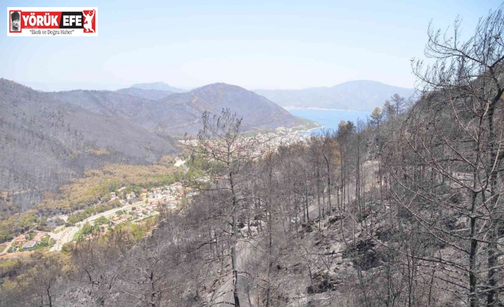 Marmaris’te yangın çalıştayı yapılacak