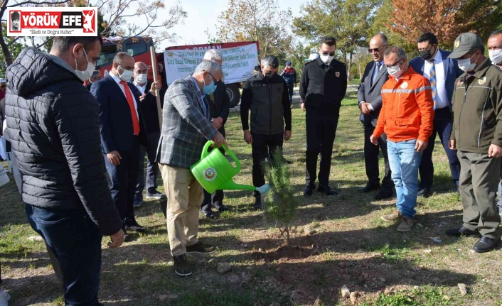 Milli ağaçlandırma gününde Didim’de fidan dikimi yapıldı