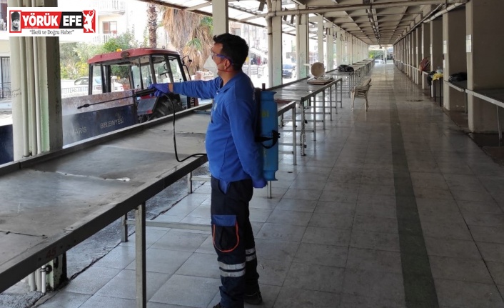 Muğla Büyükşehir Belediyesi karasinekle mücadele çalışmalarını hızlandırdı