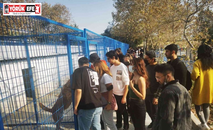 Üniversite öğrencileri can dostları yalnız bırakmadı