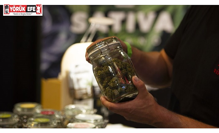 Avrupa Birliği'nde ilk: Malta'da esrar yasalaştı