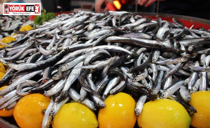 Aydın’da balık tezgahlarının yıldızı ’hamsi’ oldu