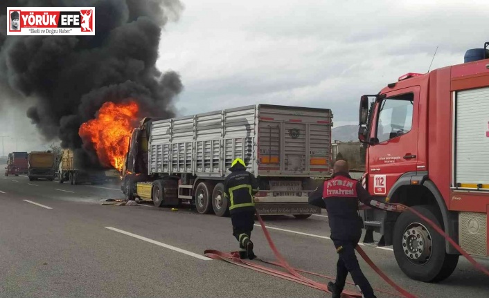 Aydın’da kamyona çarpan tır alev aldı