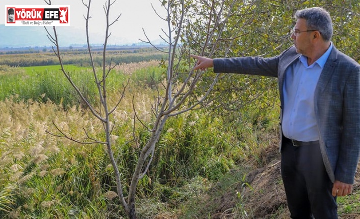 Başkan Güler’den Köşk arıtma tesisi açıklaması