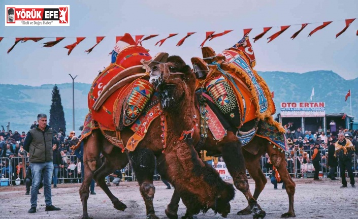 Deveci Başkan’dan yeni yılın ilk deve güreşine davet