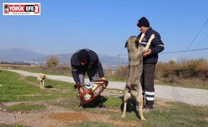 Efeler Belediyesi can dostları unutmuyor