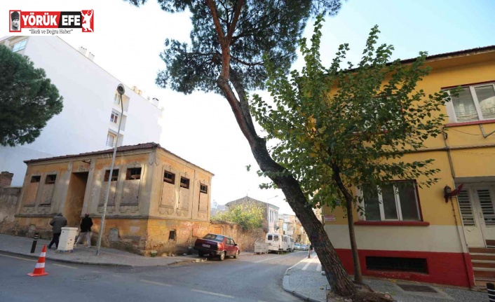 Efeler Belediyesi can ve mal güvenliğini tehdit eden ağaçlarla ilgili çalışma başlattı