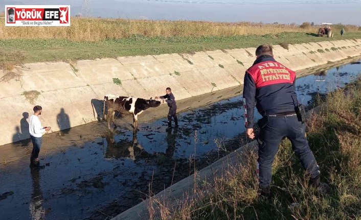 Firar eden düvenin başına gelmeyen kalmadı