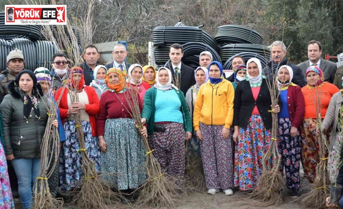 Karacasu ve Çine’deki orman yangınlarının yaraları sarılıyor