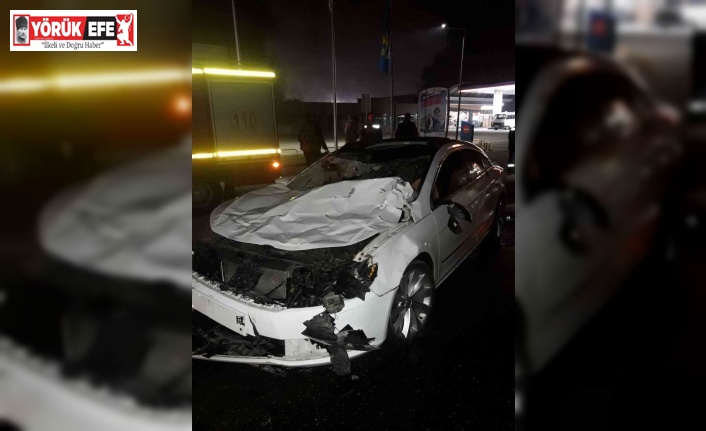 Karayolundaki başı boş atlar kazaya neden oldu