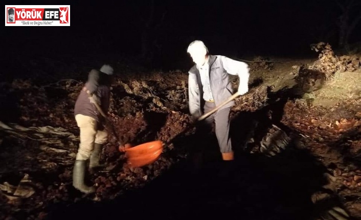 Kestane fiyatları yüzde yüz zamlanınca kestaneciler gece mesaisine başladı