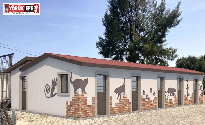 Kuşadası’nda hasta kedilere özel tedavi ünitesi