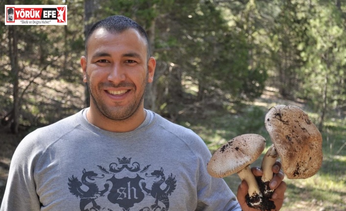 Mantar mevsimi geldi, uzmanlar vatandaşları uyardı