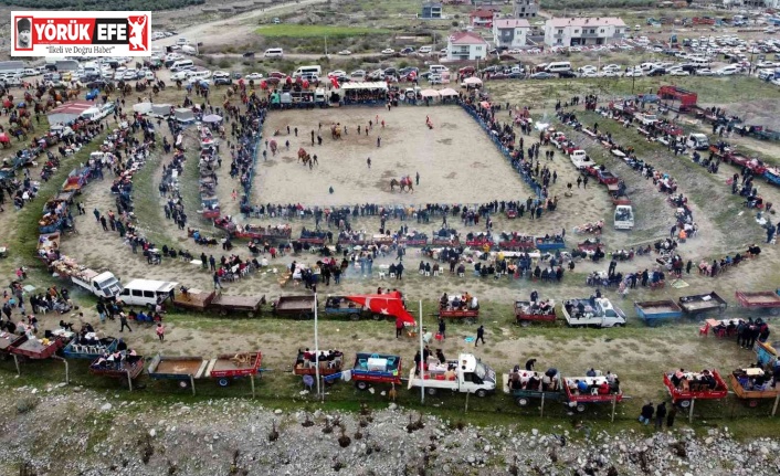 Pehlivan develer kozlarını Buharkent’te paylaştı