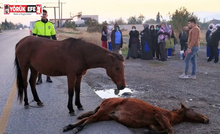 Yavrusunun başından bir an olsun ayrılmadı