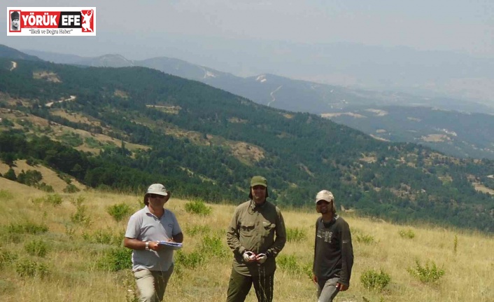 ADÜ Öğretim Üyesi Eren’in projesine TÜBİTAK’dan destek