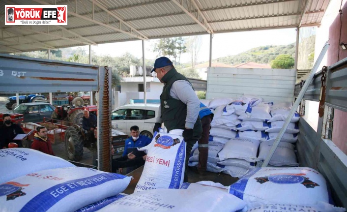 Aydın Büyükşehir Belediyesi’nden üreticiye yem desteği