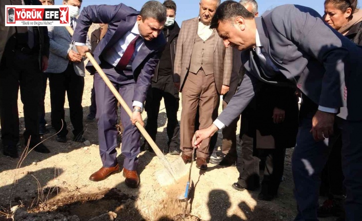 Aydın inciri Hasankeyf’te yemiş verecek