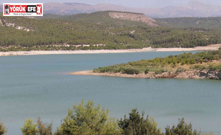 Aydın’da barajların doluluğu umut veriyor