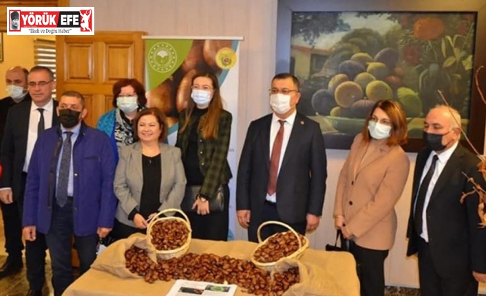 Aydın’da ’Kestane Farkındalık Günü’ etkinliği düzenlendi