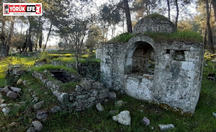 Aydınlı doğaseverlerden, tarihi mezarları koruma çağrısı