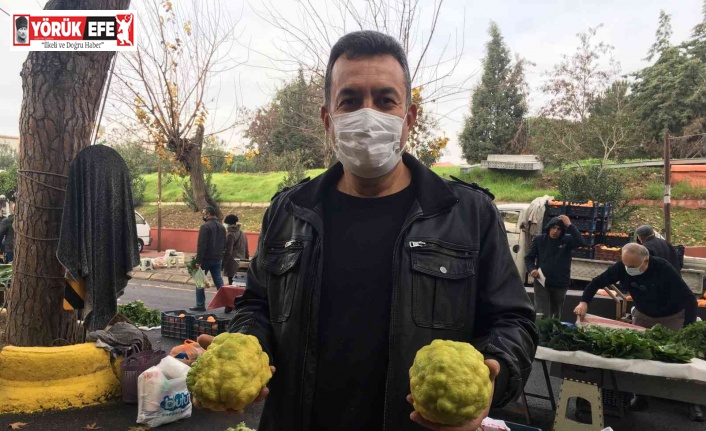 Bergamot, pazarın ilgi odağı oldu