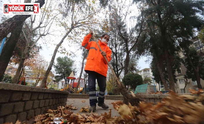 Efeler Belediyesi parklardaki temizlik çalışmalarını aralıksız sürdürüyor