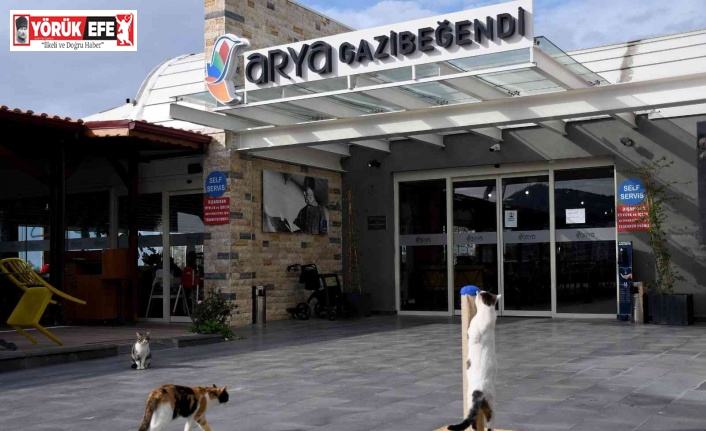 Gazibeğendi’nin patili müdavimleri artık daha mutlu