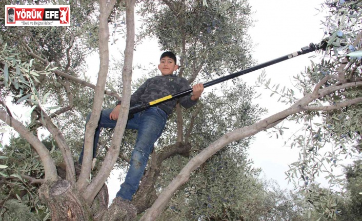 Kendisi küçük, becerisi büyük