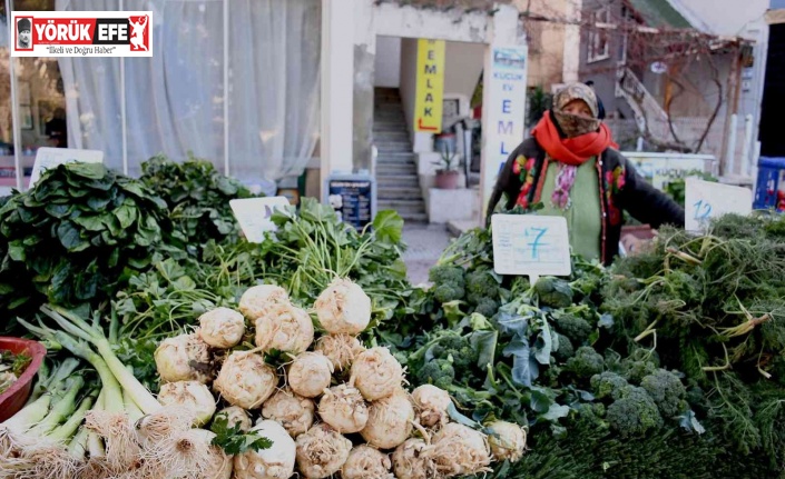Sağlıklı gıdanın adresi, Kuşadası yerel üretici pazarı