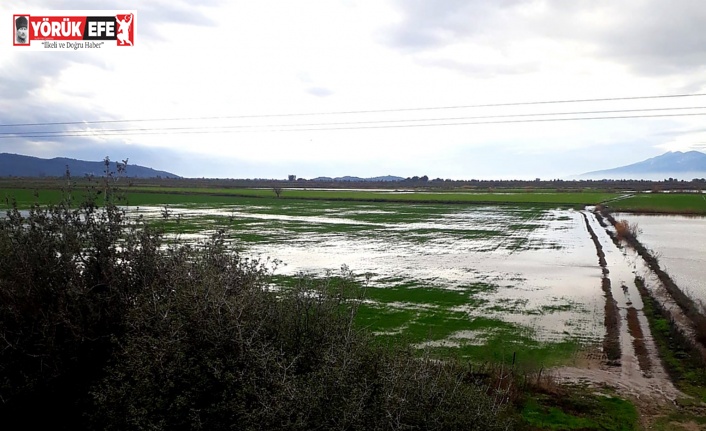 Söke’de yağışlar yaklaşık 2 bin 500 dönüm araziyi sular altında bıraktı