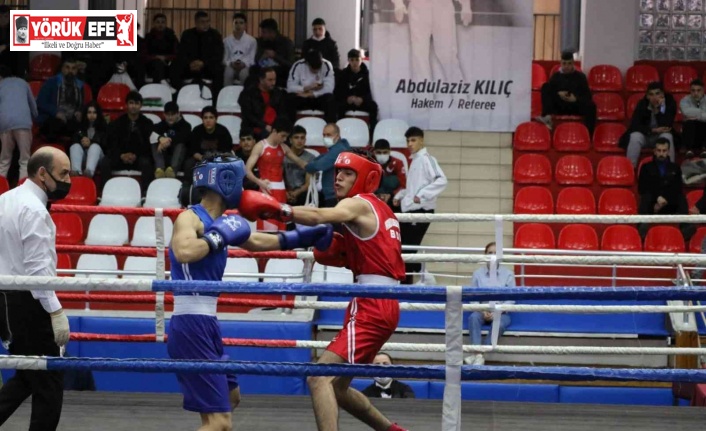 Türkiye Boks Şampiyonası Aydın’da başladı