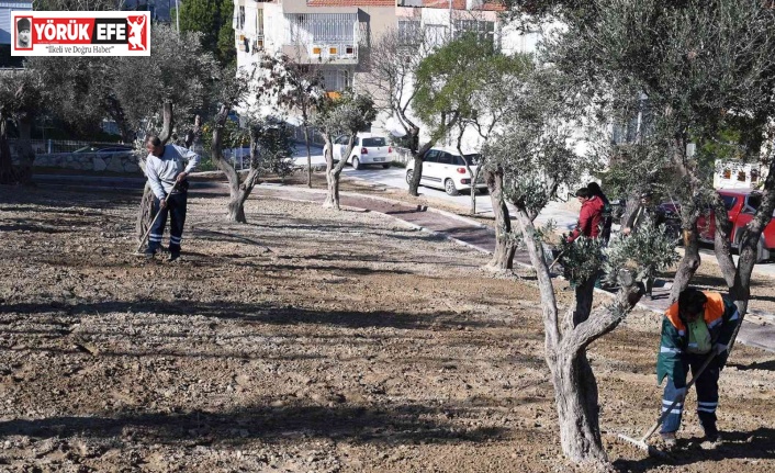Yemyeşil bir Kuşadası için çalışmalar sürüyor