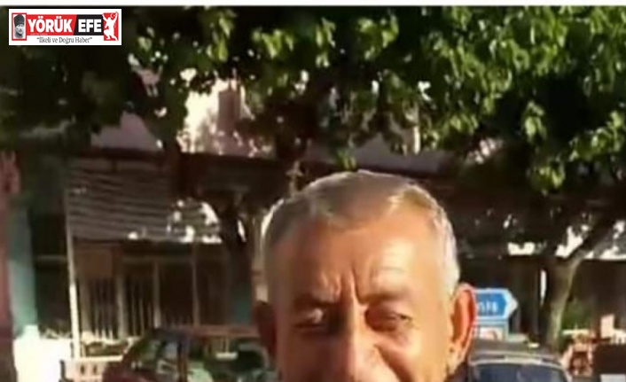 Zeytin ağacından düşen çiftçi ağır yaralandı