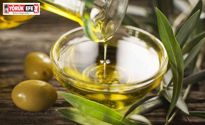 Zeytin ve zeytinyağı ihracatında Ege Bölgesi lider konumda yer aldı