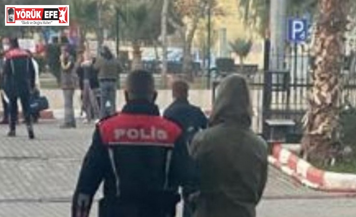 Zeytinyağı hırsızları yakalandı