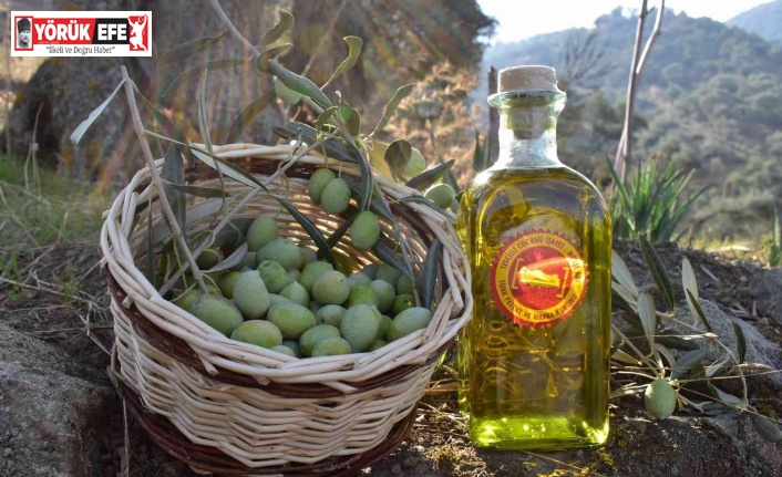 Aydın Ticaret Borsası, Aydın Memecik Zeytinyağı’nı Hatay’da tanıtacak